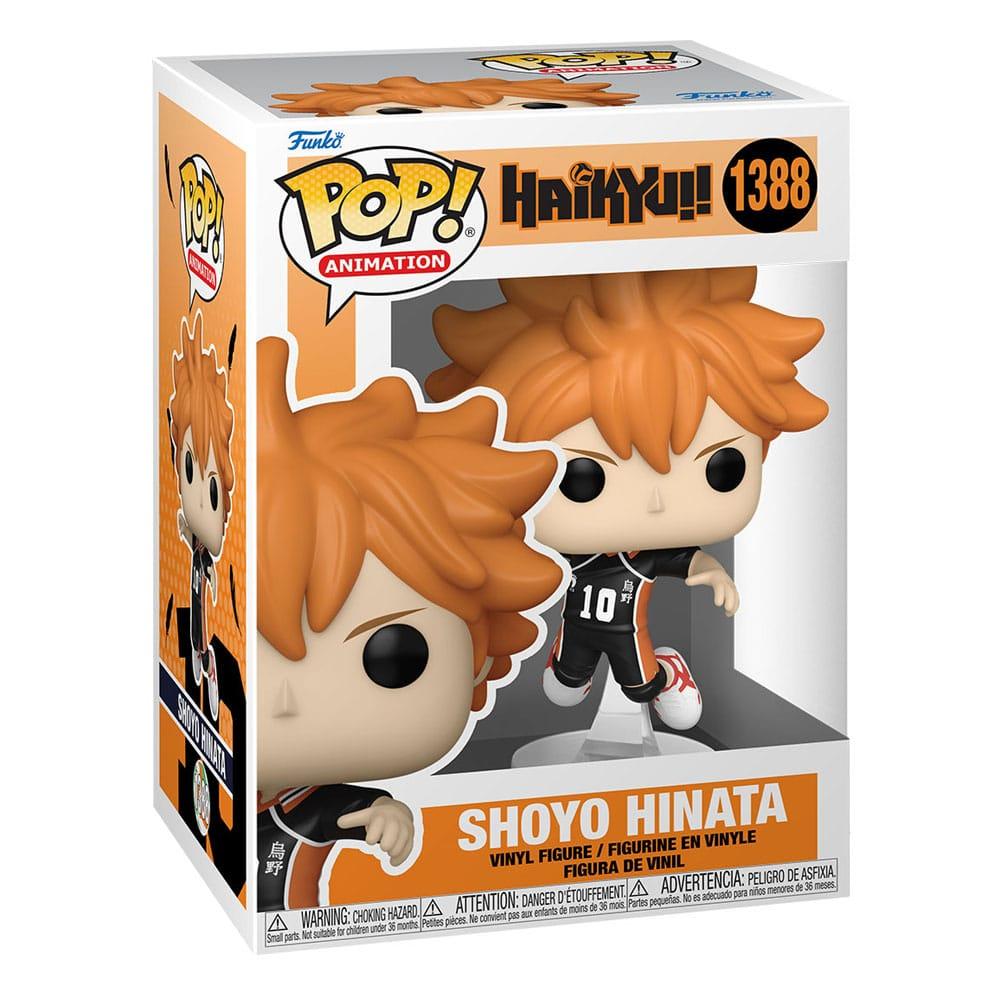 POP Animation: Haikyu!- Hinata